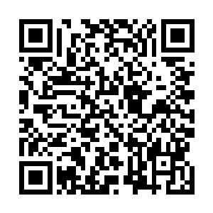 但白昊可是会每隔一段时间就往其中存放几千台治疗舱的二维码生成