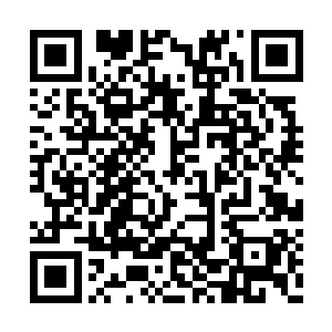 但目光却也是不断的从天际与楚枫身上来回切换二维码生成