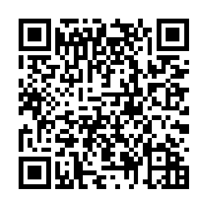 但目前是可以把双峰二中这部分学生接纳得下来的二维码生成