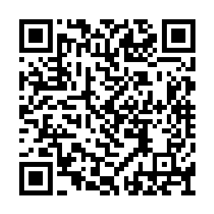 但相比起此前红高粱和大腕在商业上的巨大成功二维码生成