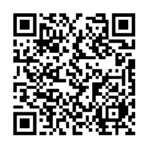 但眉心深深的褶皱已经将内里煎熬暴露得一览无遗二维码生成