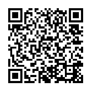 但看到那打着野熊部落旗帜的野熊部落的公子甘谷拉二维码生成