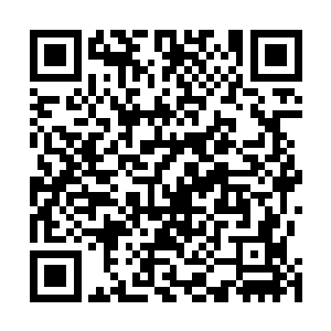 但看着徐家老祖宗满脸的皱褶和满头的银发和发白的胡须二维码生成