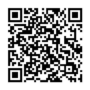 但看起来帝君选择将这份力量用在重启遗忘之地上……二维码生成