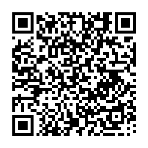 但真正打动佰达公司的还是洼崮区委帮忙联络的洼崮药商们参股这一动作二维码生成