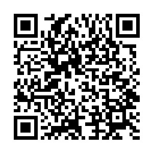 但真正活这么久的唯一方法就是做乌龟缩在洞里别出来二维码生成