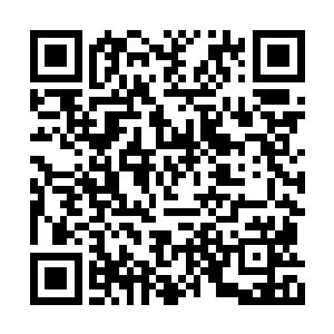 但真正要强大还是要靠自己一点点修炼才能得来二维码生成