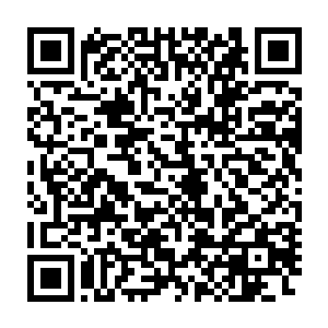但真空剑王终究是一位在空之力的道路上比楚暮走得更早更远的先行者二维码生成