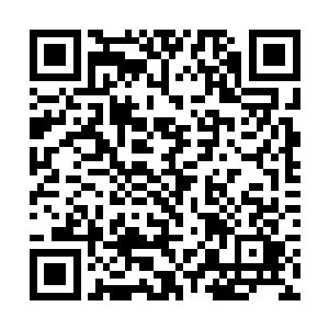 但眼下卢八娘竟然要把她那对传家的手钏也换了粮食二维码生成