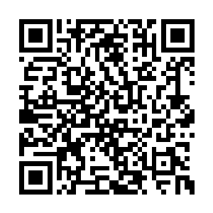 但眼前的界墙瞬间就把我刺过去的气剑给震断了二维码生成