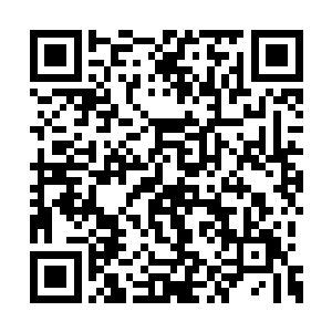 但眼眸深处依旧闪烁着沉重的警惕和冷酷的战意二维码生成