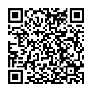 但瞎子等人都看到了这武器传送下来并开大龙的画面二维码生成