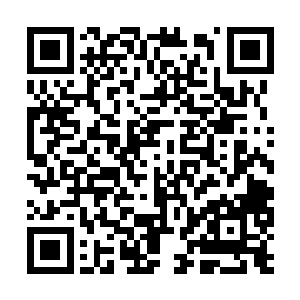 但瞧瞧自家主子接了刘萱的信是什么表情也是好的二维码生成