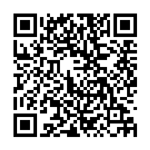 但短短几天功夫刚刚收服得的土著野人还没有同化二维码生成