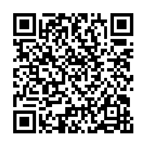 但石某还是劝你最好暂时熄灭打这些材料的主意二维码生成