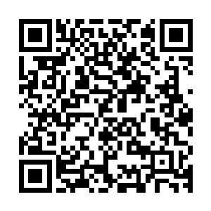 但确实丁长生这些天废寝忘食的在电脑上查资料整理出来的报告二维码生成