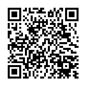 但确确实实林封谨抓到的这头寻蛇确实是难得一见的极品二维码生成