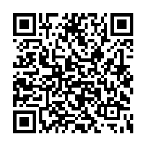 但秘书懂顶义真不知道这茶叶到底有多大的价值二维码生成