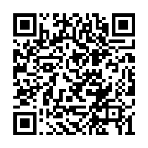 但秦方也能够感觉到她的惊讶和恐惧……这时候二维码生成