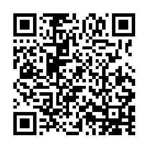 但秦方却只是不屑的笑了笑……作为一名千术大宗师二维码生成