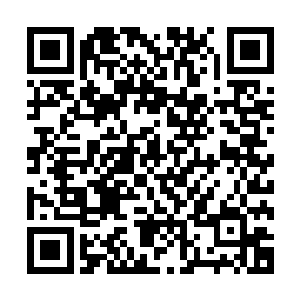 但秦方却是已经简单的分析出点东西来了……三元藤呈枯藤状二维码生成
