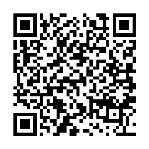 但稍稍留心能发现其中间或可见银白色闪亮的岩石二维码生成