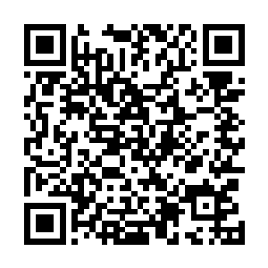 但穆扬灵在两个孩子巴巴的眼睛注视下毫不畏惧的瞪回去二维码生成
