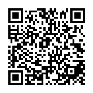 但穿梭舰还是接收到了来自伏羲舰队核心处的数据二维码生成