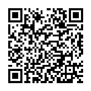 但站在他背后的人却是一个跺跺脚都要让天元大陆震上三震的人二维码生成