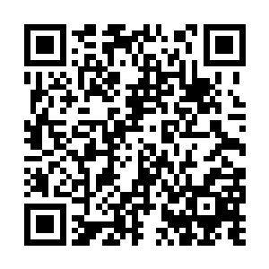 但竟然和另一种四维或者更高维度的生命和平共处二维码生成