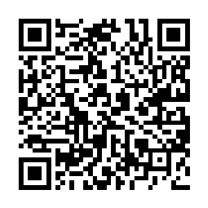 但繁忙的工作和饮食的不习惯还是延缓了雨果的恢复计划二维码生成