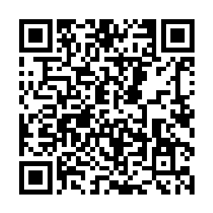 但终归无非运气和警醒……只是帆儿既骑马逃脱半夜二维码生成