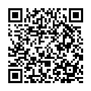 但终究抵不过北堂国节节败退带给北堂帝的巨大压力与危机感二维码生成