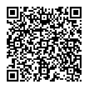但终究缺少足够的医疗药剂和高能食物补充光是依靠狩猎辐射变异兽采集到的物资二维码生成