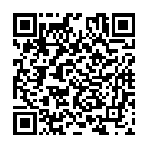 但终究还是不相信一位年轻的老师会认识市委书记二维码生成