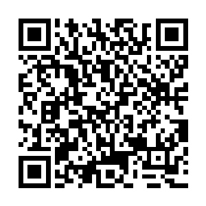 但结果不管是安神的医药还是那神秘的驱邪符全都没半点用二维码生成