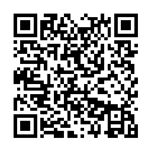但结果也让她的名气直接在海域修真者中彻底燃起二维码生成