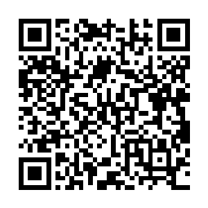 但结果是少正义鸣身后的死士已经握住了我劫天神剑的剑身二维码生成