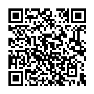 但绝大多数城市中都只有着神级左右的强者驻守二维码生成