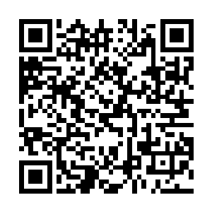 但绝对要比先前的安杰和陈锋还要更为的被大哥所看重二维码生成