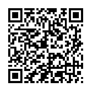 但绝对还不足以支撑他们对截教或者青丘一脉发难二维码生成