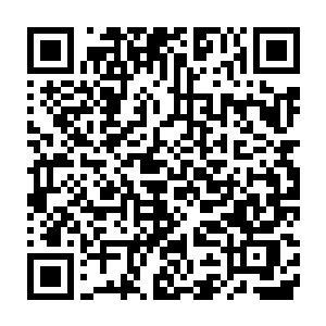 但编剧需要的文学功底和创作才华却需要岁月的累积和时间的沉淀二维码生成