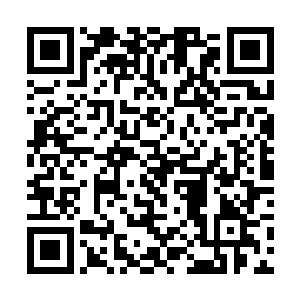 但翻遍了派出所也没找到王大力和王淑芳的相关笔录二维码生成