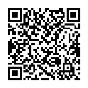 但肚腹上的腹甲只是一层厚度只有两三寸的角质层二维码生成
