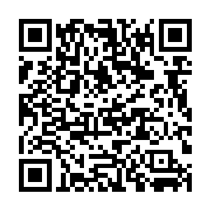 但肯定瞒不过默契地分好了单双号限行的廖辽和周嫫二维码生成