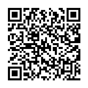 但背后干一些狗屁倒灶的事情扯扯后腿却是难免的二维码生成