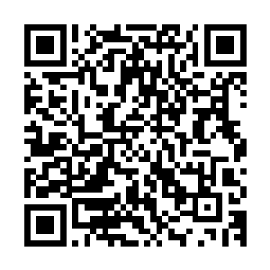 但能和青月一起成为左膀右臂来的估计实力不会比青月差到哪去二维码生成