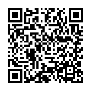 但能够进入此地则从侧面反应我也能够将其获取二维码生成