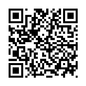 但能安然接下无数花瓣的密集杀么二维码生成