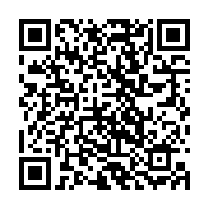 但能白手起家成为会长张青云也不是小家子气的人二维码生成
